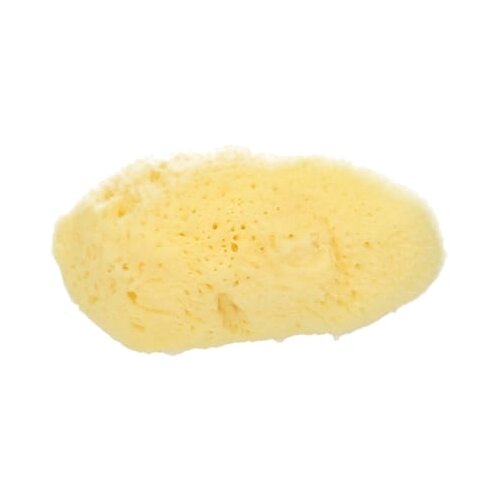 Koutouzis Natural Sea Sponges naravna spužva "silk" - ca. 5 cm Cene