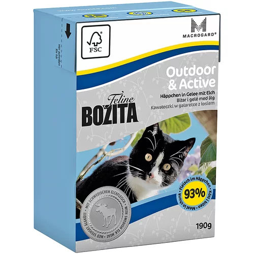 Bozita Feline Tetrapak 6 x 190 g - Outdoor & Active