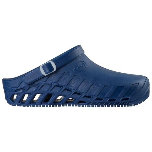 Scholl Natikači CLOG EVO Modra Cene