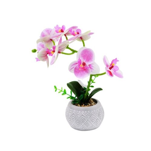 Dekordom Cvet orchid fh2637 - n13 ( 025159 ) Cene