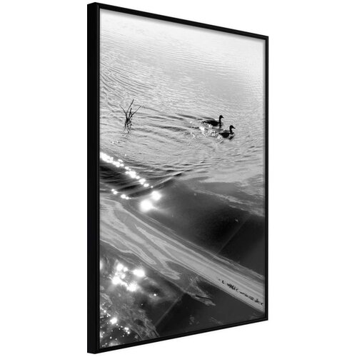  Poster - Texture of Water 30x45 Cijene