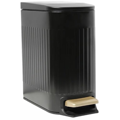 Diplon Metalna kanta Matt Black 6l Cene