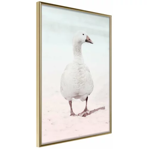 Poster - Walking Goose 40x60