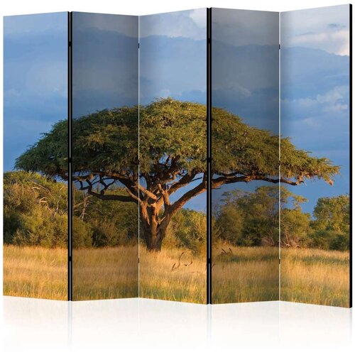  Paravan u 5 dijelova - African acacia tree Hwange National Park Zimbabwe II [Room Dividers] 225x172 Cijene