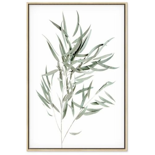  Slika - Nicholia Eucalyptus (1 Part) Vertical 60x90 Slike