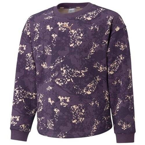 Puma Puloverji Alpha Aop Crew FL pisana Cene