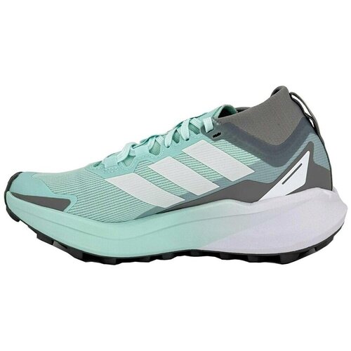 Adidas Nizke superge Terrex Agravic GTX pisana Slike