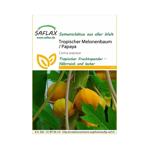 Saflax Tropsko drevo melone / papaja