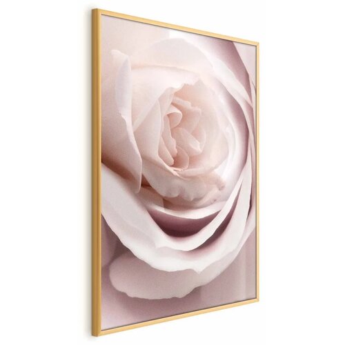  Plakat Porcelain Rose 29.7x42 Zlatni okvir Cene