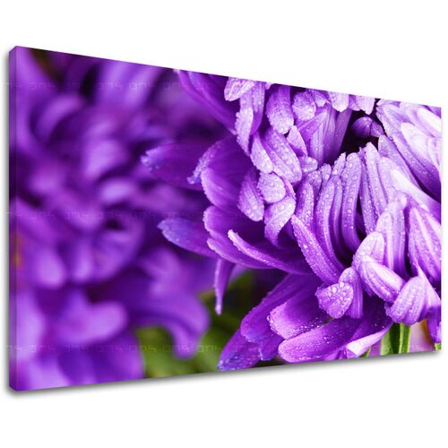  Slike na platnu cveće  (moderne slike na platnu) Cene