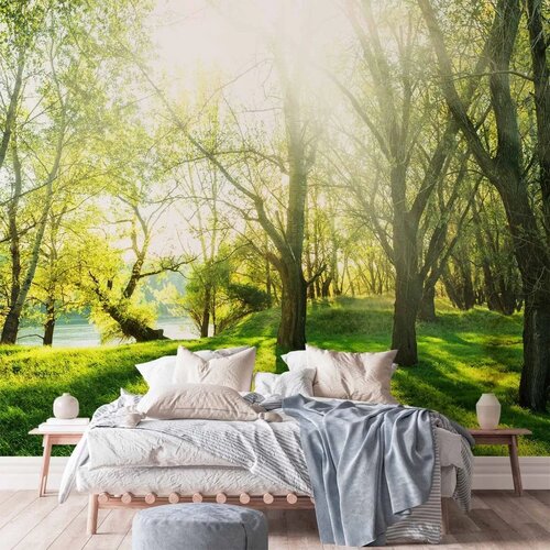 Foto tapeta - Sunny May Day 150x105 Standard Cene