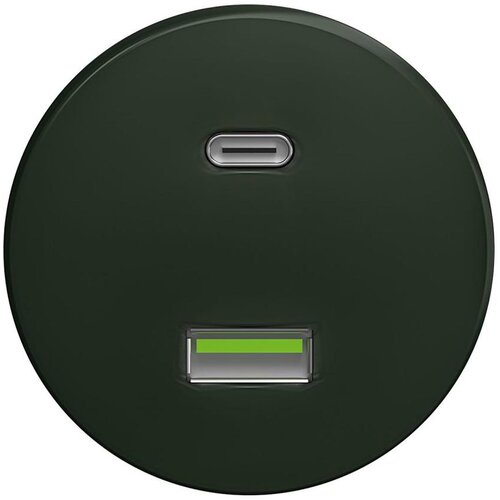  Reblig - Retro USB utičnica A+C bez okvira zelena Cene