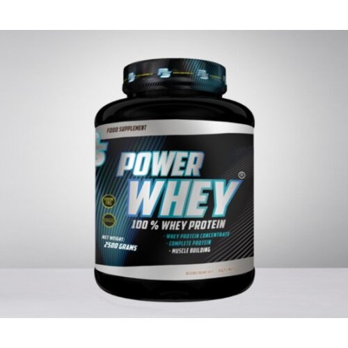 Pansport PAN Protein Power Whey, Lešnik, 2,5kg Cene