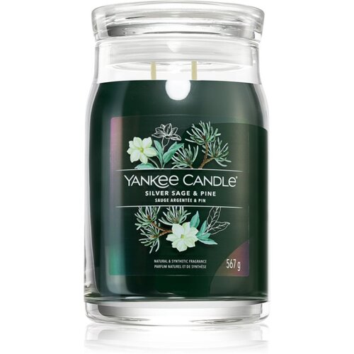 Yankee Candle Mirisna sveća SILVER SAGE &amp;amp; PINE velika 567g 60-90 sati Slike