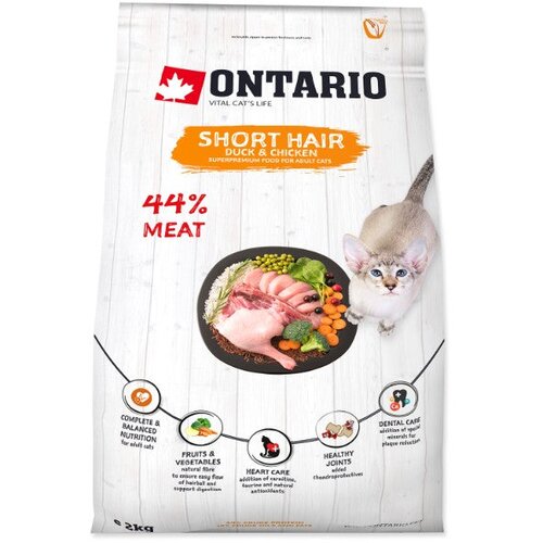Ontario Cat Shorthair - raca in pi&scaron;čanec 2 kg Cene