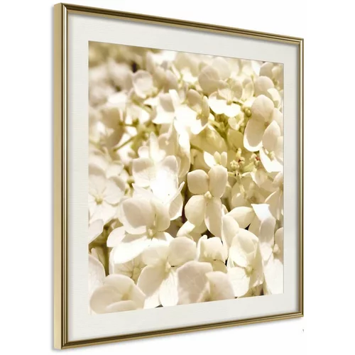  Poster - Soothing Flowers 50x50