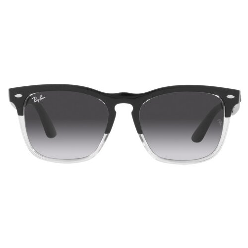 Ray-ban steve naočare za sunce rb 4487 6630/8G Cene