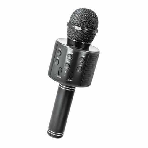 Mikrofon sa BT zvučnikom Cene