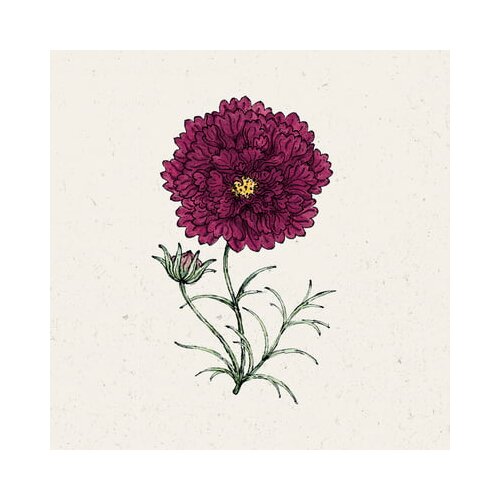 Jora Dahl Kozmeja "Double Click Cranberries" Cene