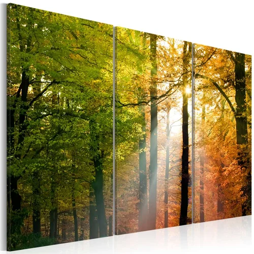  Slika - A calm autumn forest 90x60