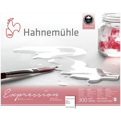  Hahnemühle Expression akvarel papir | Različite veličine | Različite veličine Cijene