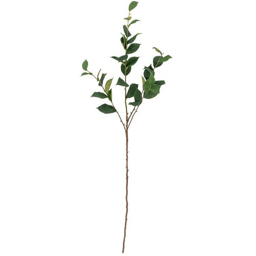 Bloomingville Umjetni eukaliptus (visina 110 cm) Eucalyptus &ndash; Cijene