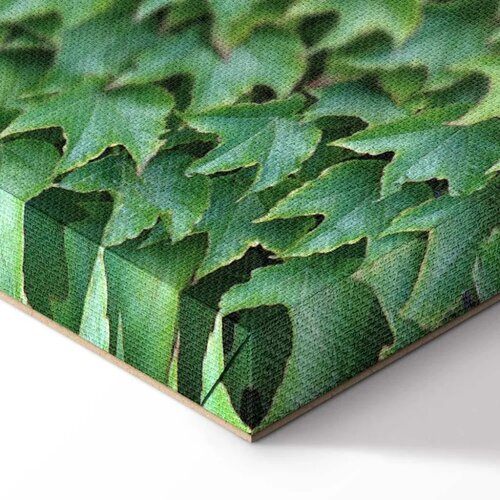  Slika - Thick Ivy (1 Part) Vertical 60x90 Slike