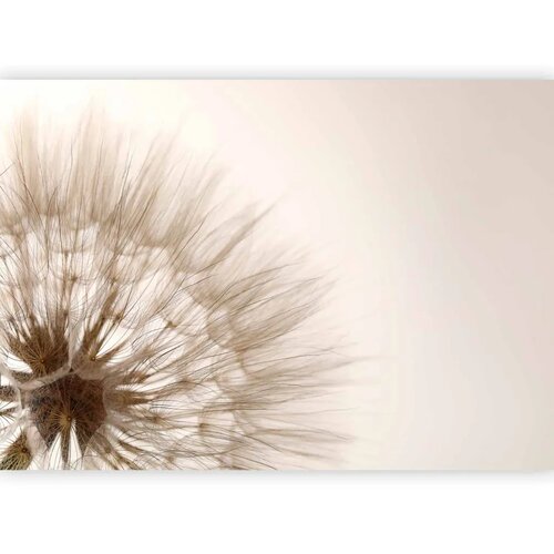  Foto tapeta - Nature close-up - close-up motif of a blowfly flower in sepia 150x105 Slike