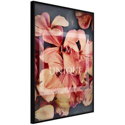  Poster - Believe It 40x60 Cijene