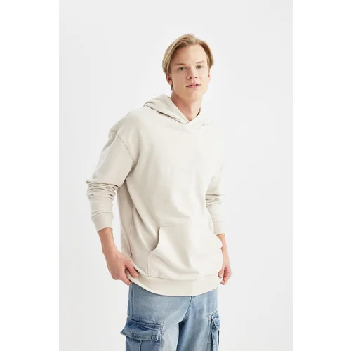 Defacto Comfort Fit Hooded Basic Sweatshirt