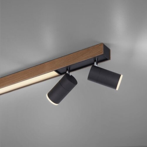 PAUL NEUHAUS LED plafonska svetiljka PURE Lines Spot hrast CCT dimabilno Slike