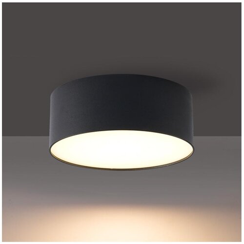 Brilagi LED Spoljno plafonsko svetlo FORIS LED/14W/230V pr. 12 cm crna IP44 Slike
