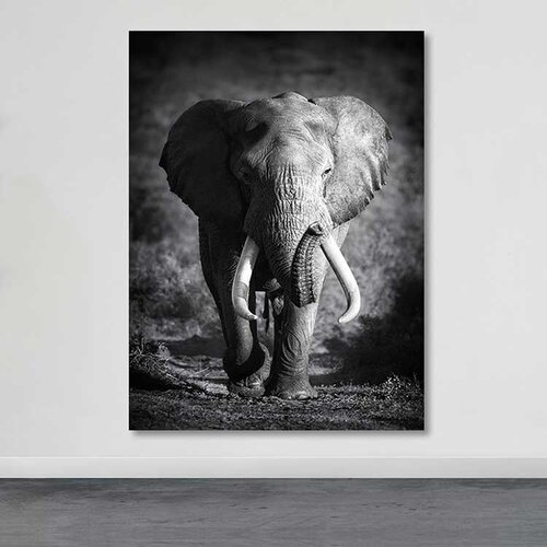 Wallity Slika DEV02259100140, 100x140 cm Cene