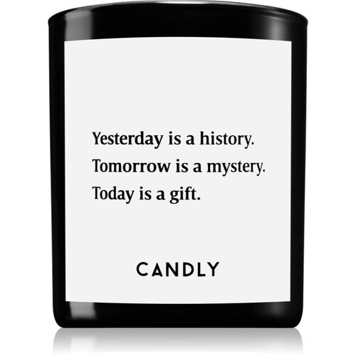 Candly & Co. Yesterday is a history dišeča sveča 250 g Cene
