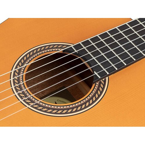 Valencia klasična gitara 4/4 Slike