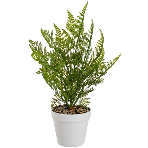 Casa Selección Umetna praprot (višina 45 cm) – Cene