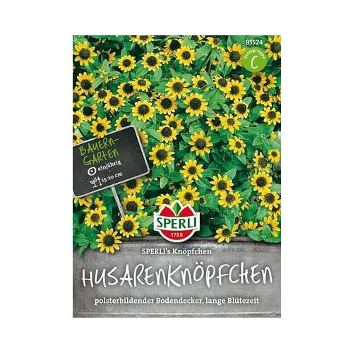 SPERLI Sanvitalia "Sperli's Knöpfchen" Cene