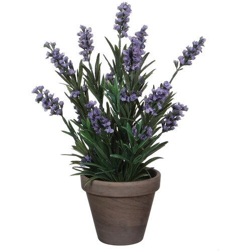 MICA SIVKA MODRA V SIVEM STAN LONCU D11,5CM - H33XD20CM Cene