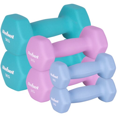  Set HEX neoprenskih bučica od lijevanog željeza 12 kg (2x1kg + 2x2kg + 2x3kg), REBEL ACTIVE Cene