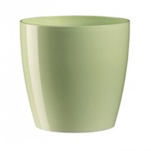 Dimartino saksija rio baby green 25 ( 400242 ) Cene