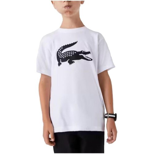 Lacoste majice s kratkimi rokavi - Bela Slike
