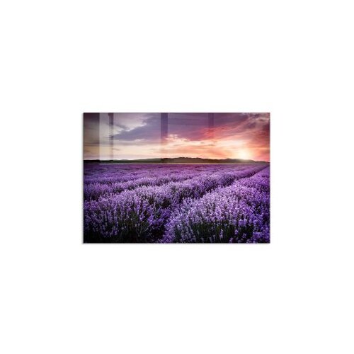 WALLXPERT Slika 1323, 50x70 cm Cene