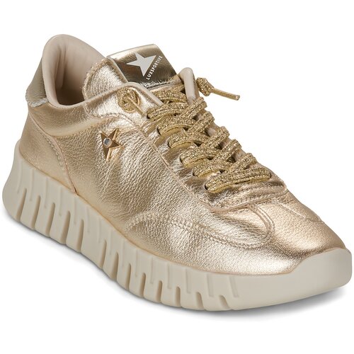 Cetti C-1381-SRA-V26-GORDON-CHAMPAGNE Gold Cene