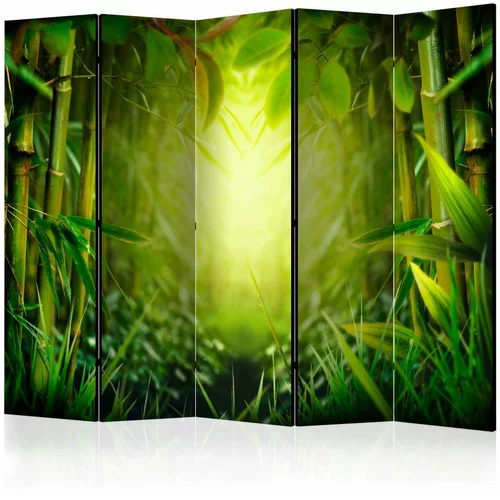  Paravan u 5 dijelova - Forest fairy II [Room Dividers] 225x172