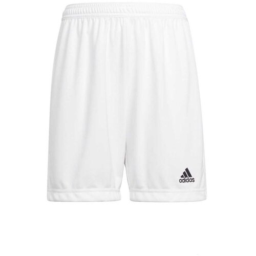 Adidas Ent22 sho y Cene