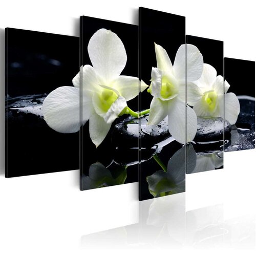  Slika - Melancholic orchids 100x50 Slike