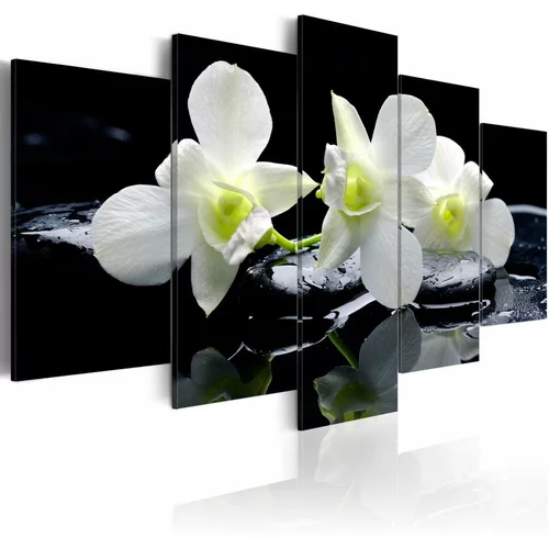  Slika - Melancholic orchids 100x50