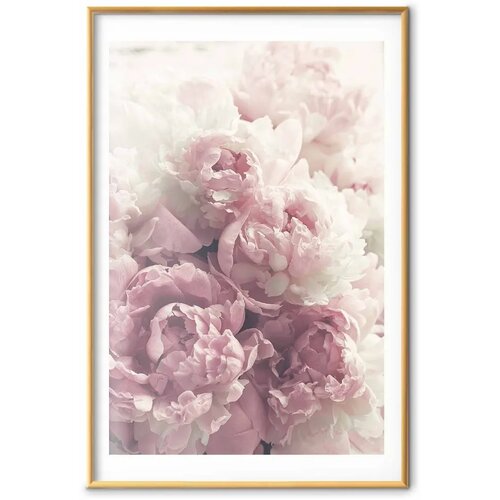  Plakat Delicate Peonies 40x60 Zlatni okvir s margom Cijene