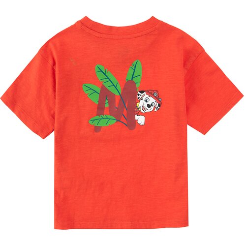 SMYK Kids&amp;#039;s T-Shirt LCB2412547 Slike