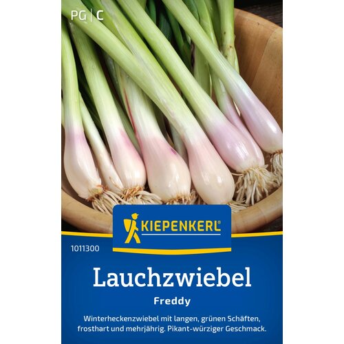 KIEPENKERL Čebula "Winterhecke" - 1 pkt. Cene